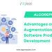 Team Augmentation in Software Product Development