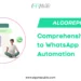 A Comprehensive Guide to WhatsApp Automation - Algorepublic