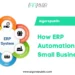 How ERP Automation Affect Small Business Operations